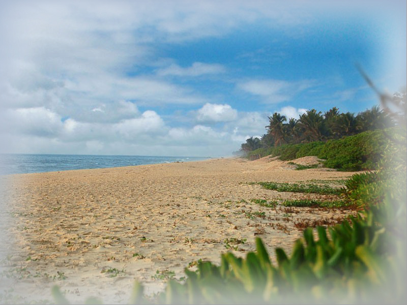 Shore view at the NITK Surathkal Beach